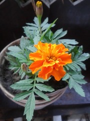 CD0B98CF-CF52-4926-9911-B38D5A972CC2/L0/001