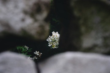 F3FA9070-41AD-4787-BA1D-F1AD57BCA744/L0/001
