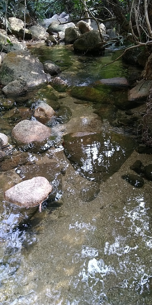 清凉如秋的山坑水