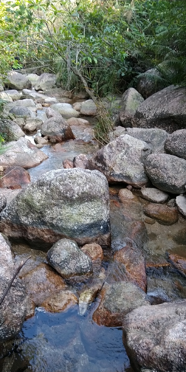 清凉如秋的山坑水