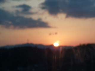 4954269