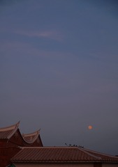 B297A571-93E2-4F9C-9A3C-F58B1265E14A/L0/001