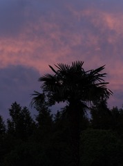 04F07B45-36F7-4C64-8AC6-00480D0D9287/L0/001