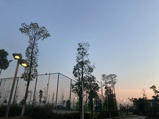 646A6EFD-71F9-478A-8DCF-0C71DA2EF563/L0/001