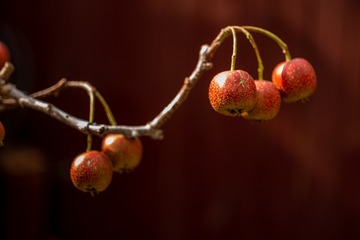 7B865110-3B9C-4954-9B3D-3DDD7A8755E7/L0/001