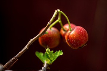 D0D7B950-DFEF-4BCF-8561-4F2C512379A9/L0/001