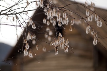 D8A02F24-58DF-4DEC-B30C-82B76798AB8C/L0/001