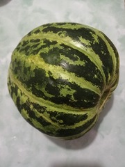 3221273
