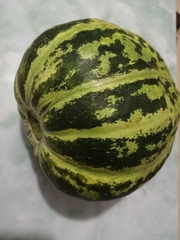 3221274
