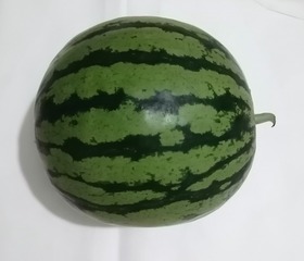 3232182