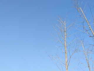 1700215