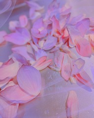 3059A0DA-A638-46D8-B608-B3658C8CDD66/L0/001