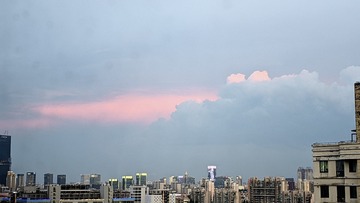 1000025153