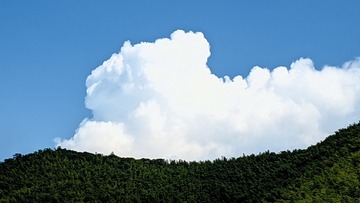 1000025360