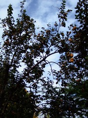 615DA978-CCB5-4610-85B6-4EB9854635F2/L0/001