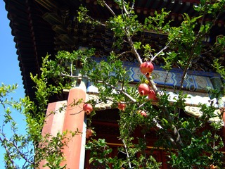 5E747B9F-4AE2-4B63-B221-329487E37FA4/L0/001