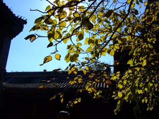 7CF7F949-2606-496A-B09D-B7F20AFE93CE/L0/001