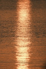 926A60F3-5F4E-4CE0-9E76-A2CA67DF14B3/L0/001