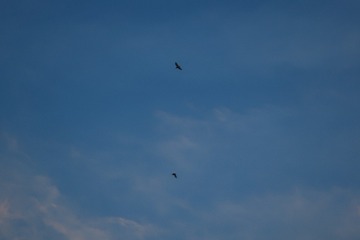 0F93B790-632D-4D9D-8E46-2057E7F61A11/L0/001