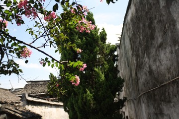 203B85C6-4AC2-49BD-8887-59C7419EE9D2/L0/001
