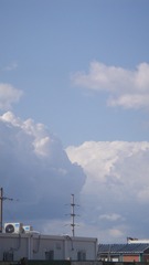 1653159
