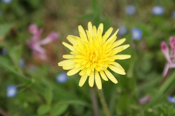 DSC00104.JPG