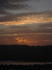 0084F852-8841-4FC3-9B39-114846A97ED8/L0/001