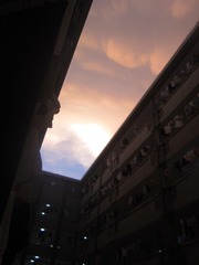 89263623-3A7D-431A-A704-6BF86BB26F32/L0/001