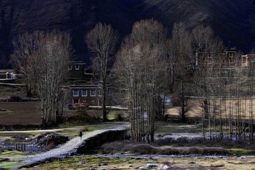 18.山村晚秀
