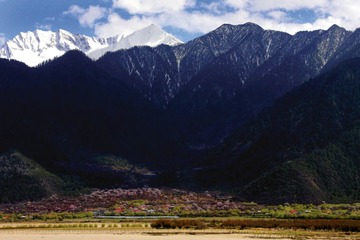 5.雪山脚下桃花村