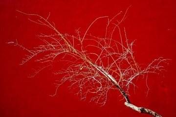 D919C01B-ED2B-40D7-BC58-013AA69497C7/L0/001