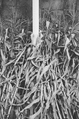 4505F9F0-6D05-44CD-AC30-A0D7973404C7/L0/001