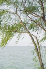 FF66265F-B20E-4A8F-9F6C-A9A1DB036524/L0/001