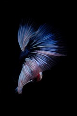 IMGP2309_