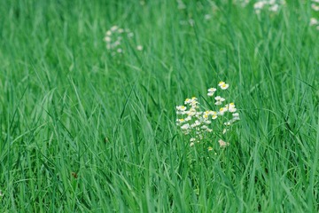 IMGP7082副本.jpg
