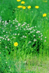 IMGP7095副本.jpg
