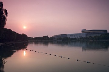IMGP1011.jpg