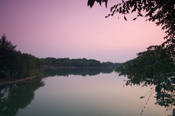 IMGP1033.jpg