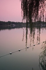 IMGP1050.jpg
