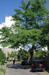 IMGP5710.jpg