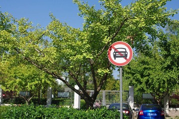 IMGP5715.jpg