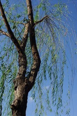 IMGP5760.jpg