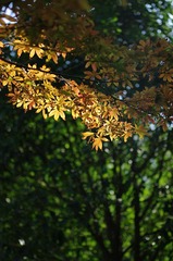 IMGP5787.jpg