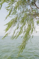 BB5ECE0C-98E4-4515-AF5E-9AAA74EC3DD4/L0/001
