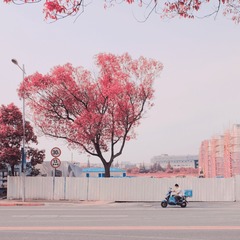 19D1EE61-BB7E-4F95-98A8-54CACB8012E2/L0/001