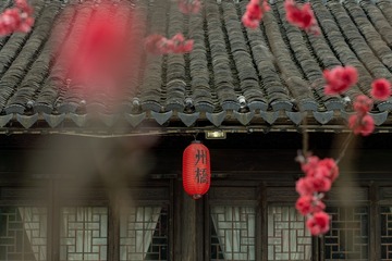 E081E457-CD0B-45B1-84A4-1349B69962D9/L0/001