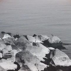 17C17F66-94ED-445F-AB42-777395A0415B/L0/001