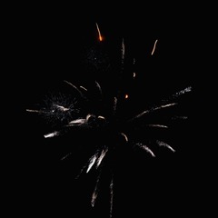 8C6077B1-047C-4C00-AA9F-5A38DAA021BE/L0/001