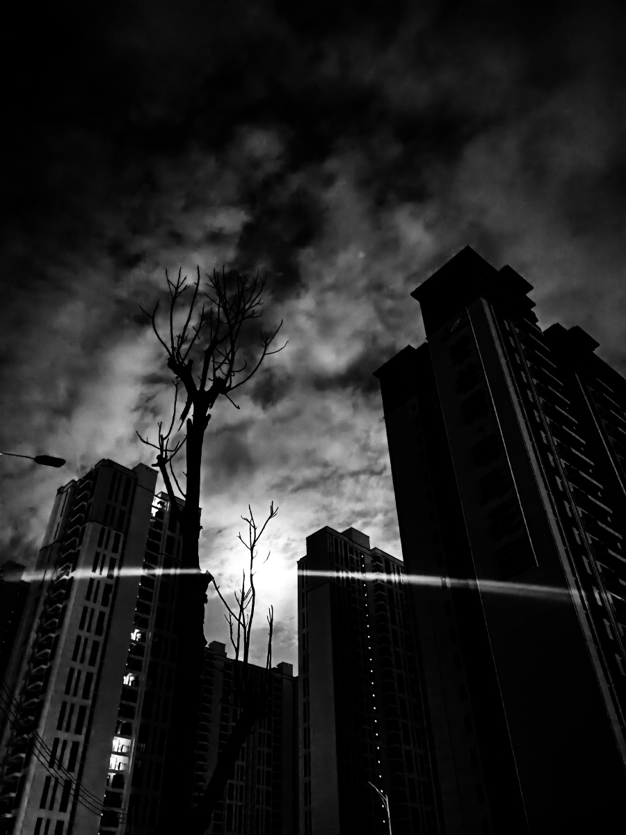 我喜欢黑色多于彩色黑色肃静沉默而孤独隐藏在所有颜色的尽头