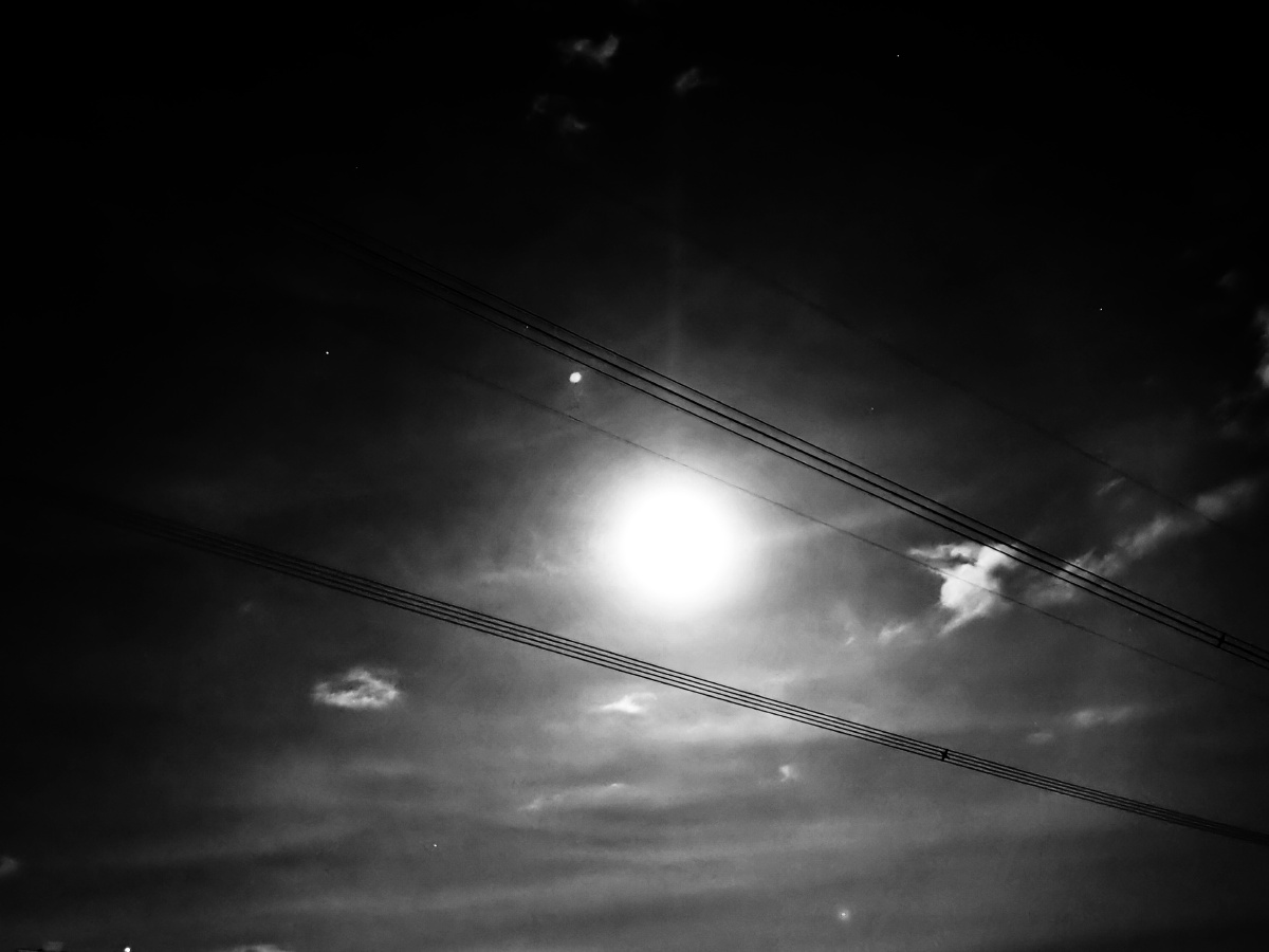 我喜欢黑色多于彩色黑色肃静沉默而孤独隐藏在所有颜色的尽头